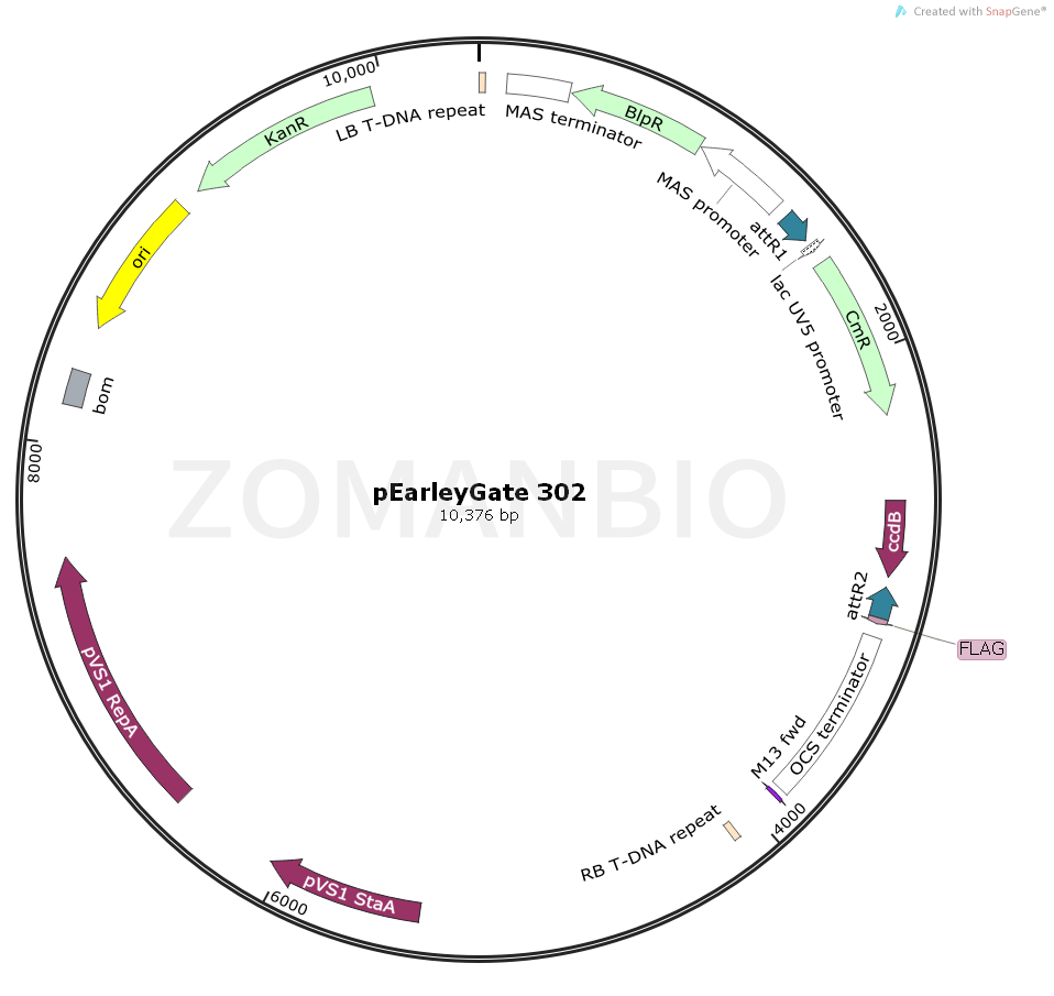 ZK883pEarleyGate 302.png