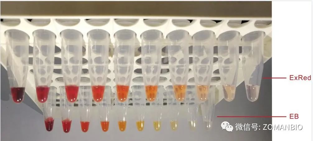 22.6 EB與red區(qū)分圖3.jpg 圖片