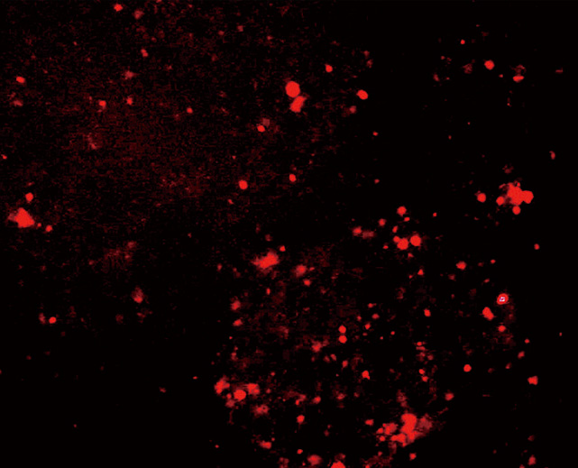 23.9 ZC305 下圖7.jpg