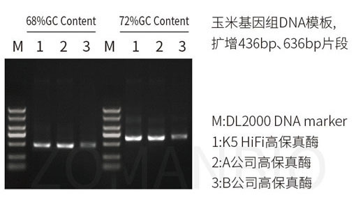 24.8改-22.9 高保真酶圖4.jpg